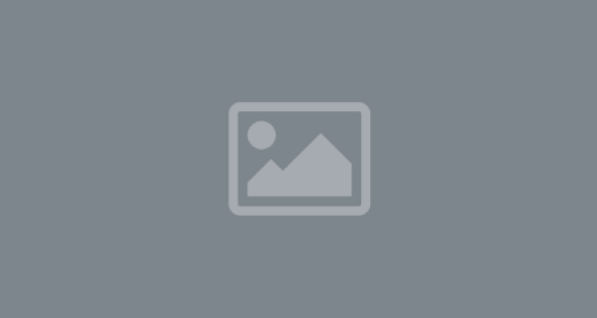 Contract Drafting and Review
